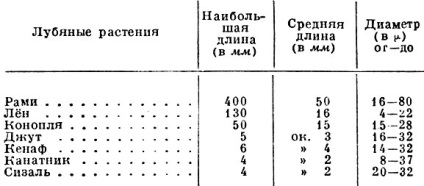 fibre de Bast (fibre pectină) Bast