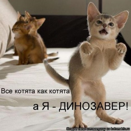 posoias (poze) pisoi mici