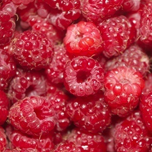 Culoare Crimson - psihologia și importanța culorii - toate materialele - • zonatigra • (culoare) Crimson culoare - psihologie si culoare valoare - toate materialele - • • zonatigra
