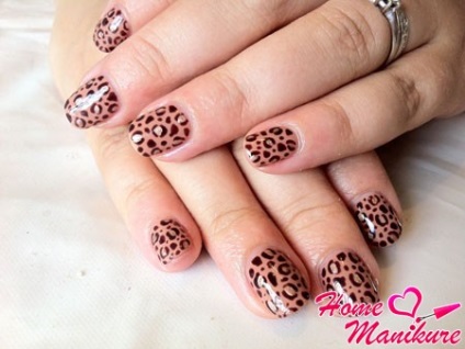 Shellac manichiura fotografie cele mai bune modele de unghii shilakom (rezultatul stratului de sus-end) Shellac manichiura fotografie cele mai bune modele de unghii shilakom