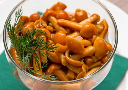 fungi decapată (fungi) ciuperci marinate