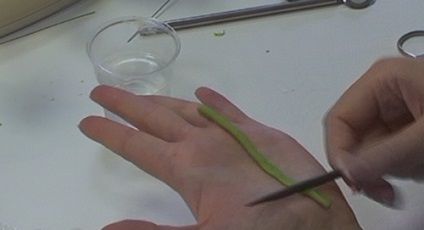 Atelier de cadouri privind drepturile de autor artgotice - păpădie realizate din lut polimeric (argilă) Atelier de cadouri privind drepturile de autor artgotice - păpădie realizate din lut polimer