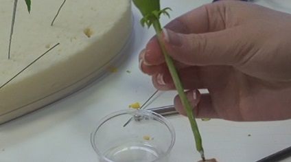 Atelier de cadouri privind drepturile de autor artgotice - păpădie realizate din lut polimeric (argilă) Atelier de cadouri privind drepturile de autor artgotice - păpădie realizate din lut polimer