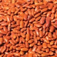 carbohidrații Slow (polizaharide) glucide lente