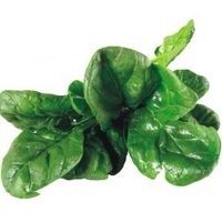carbohidrații Slow (polizaharide) glucide lente