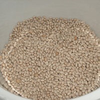 carbohidratii lent (lent) glucide lente