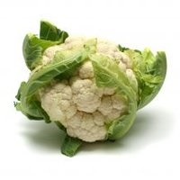carbohidrații Slow (polizaharide) glucide lente