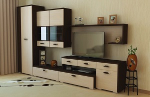 modular de perete pentru camera de zi - Photo interior (modulare) modular de perete pentru camera de zi - fotografie Interior