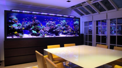Tema marină în interior (coji de decor din cadre) Tema marină în interior