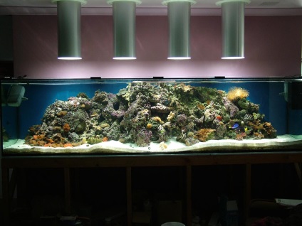 Marine Aquarium pentru începători (set minim de echipamente și principalele dificultăți) (maritime) Marine Aquarium pentru începători (set minim de echipamente și principalele dificultăți)