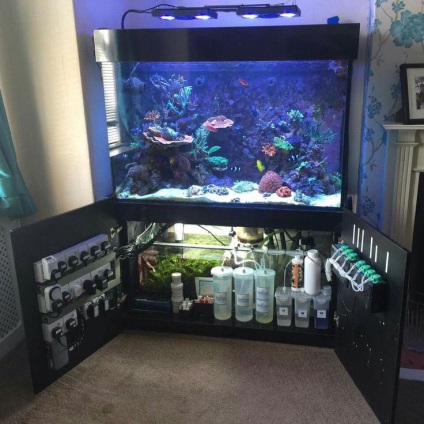 Marine Aquarium pentru începători (set minim de echipamente și principalele dificultăți) (maritime) Marine Aquarium pentru începători (set minim de echipamente și principalele dificultăți)