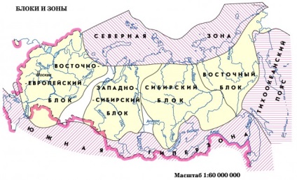 Crusta (pământ) crusta