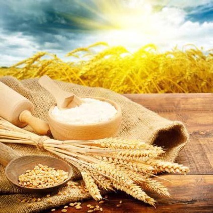 Caracteristici faina Manitoba, aplicare (făină) Manitoba caracteristici făină, utilizarea