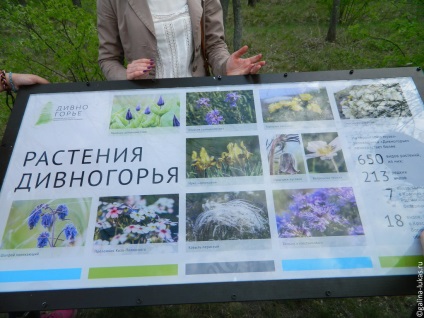 Muzeul-Divnogorie Reserve (Voronezh oblast), club de călătorie tur Lucas (Muzeul-Reserve) Muzeul-Divnogorie Reserve (Voronezh oblast), club de călătorie tur Lucas