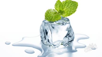 Mint fata, modul de utilizare (utilizare) Mint fata, modul de utilizare