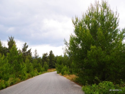 Cu mașina pe Halkidiki (ne) Cu mașina pe Halkidiki