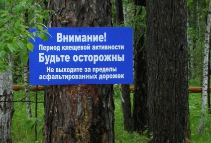 Invazia - cât de multe căpușe, sanepidemstantsii oficial al SES (a sunt zone periculoase) Invazia - cât de multe căpușe, sanepidemstantsii oficial al SES lui