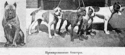 domashniya zhivotnyya nostru (cartea zhivotnyya nostru domashniya. câine. Goltgof autor l .. Conținut) zhivotnyya nostru domashniya
