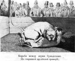 domashniya zhivotnyya nostru (cartea zhivotnyya nostru domashniya. câine. Goltgof autor l .. Conținut) zhivotnyya nostru domashniya