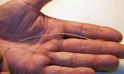 buclă Asymmetric la alimentator (bucla) bucla asimetrica la alimentator