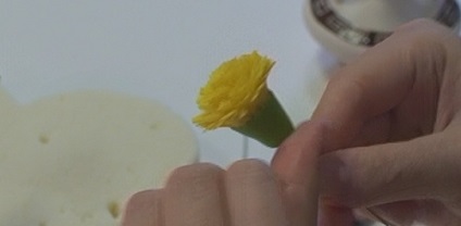 Dandelions din lut polimeric cu mâinile lor (o bucată de lut polimer) Dandelions din lut polimeric cu mâinile