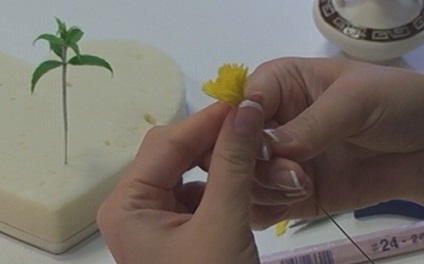 Dandelions din lut polimeric cu mâinile lor (lut) Dandelions din lut polimeric cu mâinile