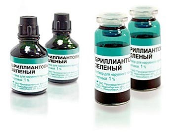 Pulverizarea Tomatele Trichopolum de Phytophthora și dăunătorilor (Phytophthora) roșii stropitul Trichopolum de Phytophthora și dăunători