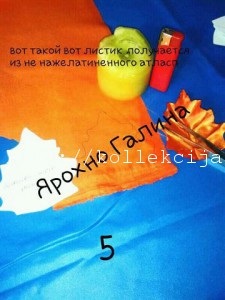 Frunze de toamnă de țesut (vene foto) Toamna frunze de țesut