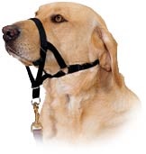 Guler, căpăstru, Marquis - ko (Comfort Trainer Head) Guler, căpăstru, Marquis - ko
