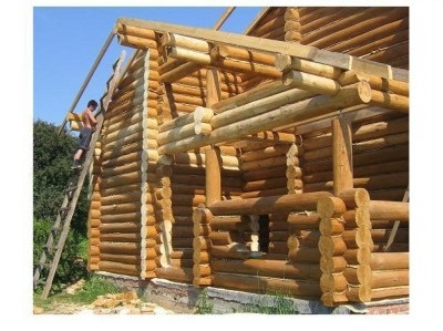 Principalele etape de construcție de case din lemn (construcții) Principalele etape de construcție de case din lemn