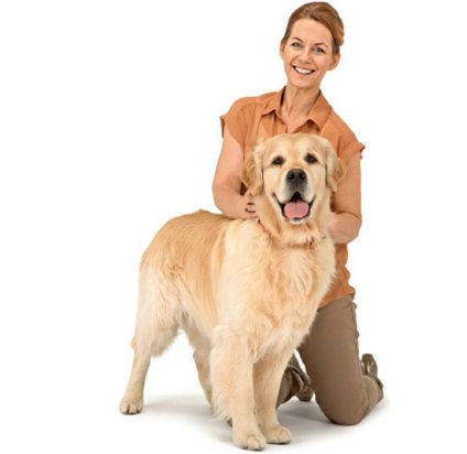 Osteoartritei la tipurile câini, diagnosticarea, prevenirea, etapa a osteoartritei și a simptomelor sale au (specii) Osteoartrita în tipuri de câini, diagnosticarea, prevenirea, stadiul artrozei și simptomele sale au