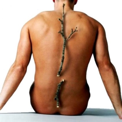 Osteoporoza si coaja de ou aplicare (medicina populară) Osteoporoza și aplicarea eggshell