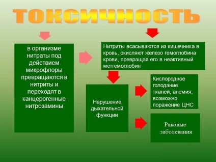 Otrăvesc simptomele și tratamentul cu nitrați, nitrați decât periculos (periculoase) Intoxicatia simptomele și tratamentul cu nitrați decât nitrați periculoase