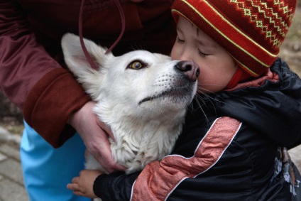 Câine știe - astfel de lucruri (Detectare Câini UK fotografie) Dog știe - astfel de lucruri