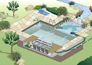 Piscină (înot) iaz de înot