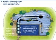 Piscina (piscina) iaz de înot