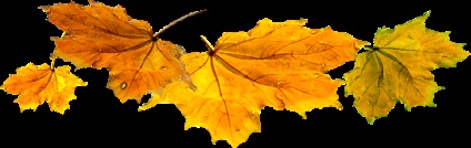 Pleykast „Eu nu sunt primavara ta ... Sunt (ta) Pleykast „Eu nu sunt primavara ta ... I