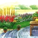 De ce se usuca Astilbe care face frunze uscate de Astilbe (Astilbe) De ce se usuca Astilbe care face frunze uscate de Astilbe