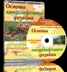 De ce wilt de răsaduri de castravete în seră (puieți) De ce wilt de răsaduri de castravete în seră