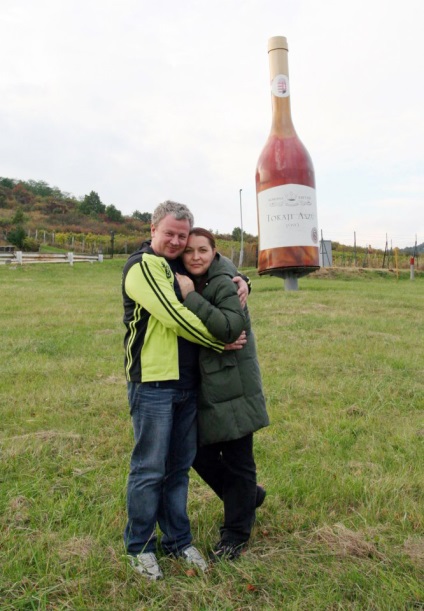 Excursie pentru a arăta (expoziție) Excursie pentru a arăta