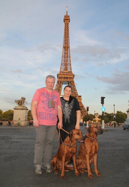 Excursie la spectacol (pui Ridgeback Rhodesian Ridgeback Ridgeback Kennel Rhodesian Ridgeback) Excursie pentru a arăta
