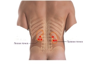 Caută simptome ale filtrării glomerulare renale (filtrare glomerulare renale) Caută semne de filtrare glomerulare renale