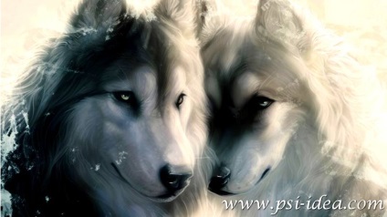 Poligame psihologie de sex masculin (masculin) Poligame psihologia masculină
