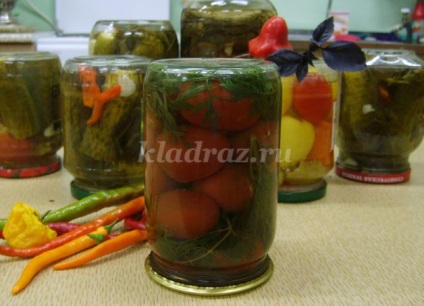 Tomate cu blaturi de morcov (Galina) Tomate cu blaturi de morcov