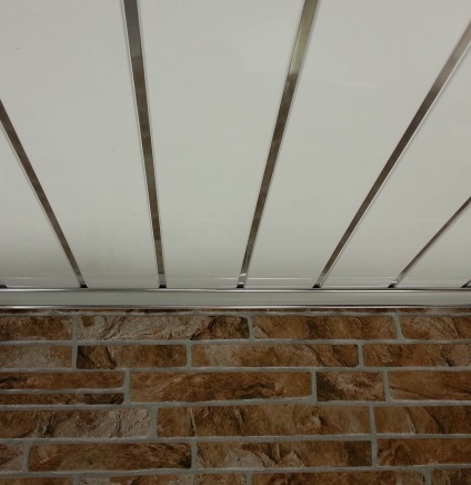 Plafonul garnitură de propriile lor mâini (foto) (arme) Plafonul garnitură de propriile lor mâini (foto)