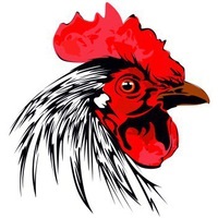 An Nou fericit! (Versetele) - 296 Felicitări Felicitări Rooster 2017