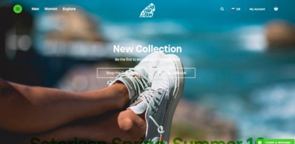 Exemple de site design (exemple de design site-ul) Exemple de proiectare site-ului