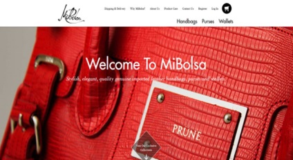 Exemple de site design (exemple de design site-ul) Exemple de proiectare site-ului