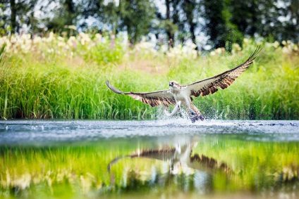 Natura - Dumnezeul meu (mediul nostru) Natura - zeul meu