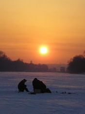 Natura de iarnă (copaci) Natura în timpul iernii
